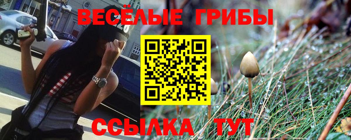 Псилоцибиновые грибы Psilocybine cubensis  Вход с VPN  Борисоглебск 