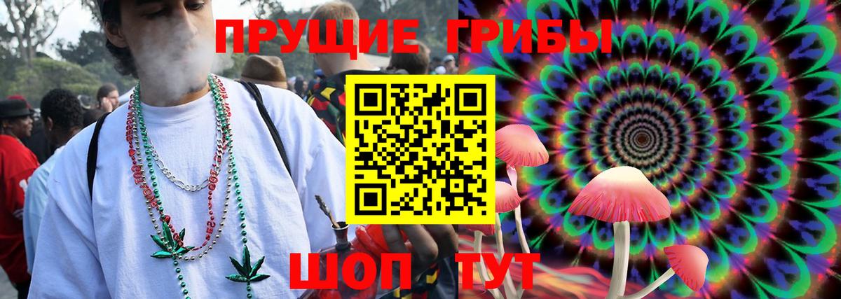 Галлюциногенные грибы Cubensis Борисоглебск