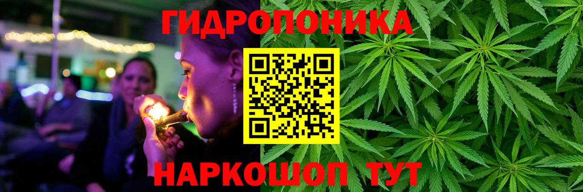 Конопля гибрид  Бошки Шишки VHQ  Канабис VHQ  Вход с VPN  Борисоглебск 